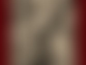 A Season of Growth: Creating Books Inspired by Nature, Healing, and the Hunt for Vintage Treasures