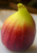 A ripe fig on a plate