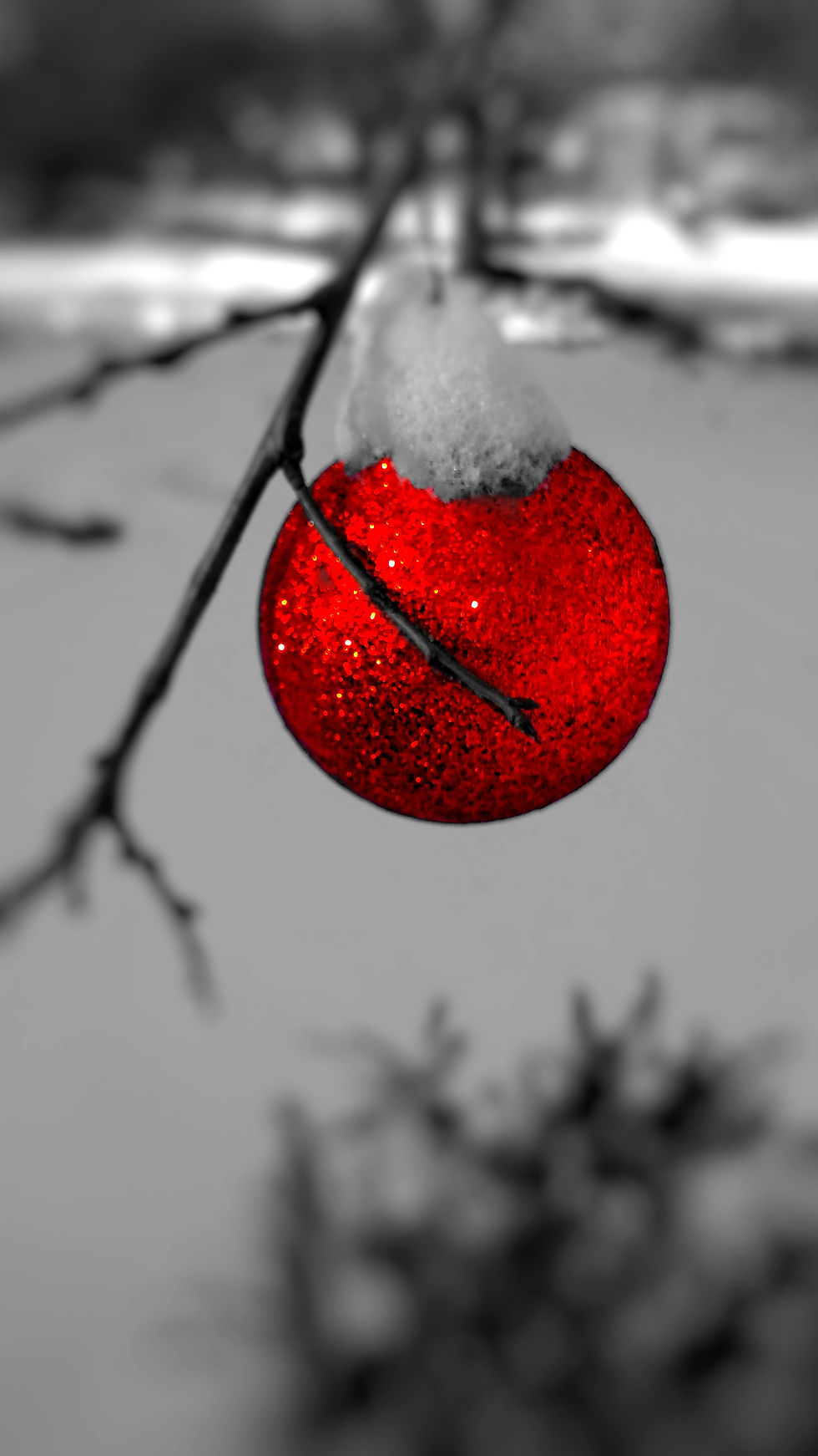 ornament in snow