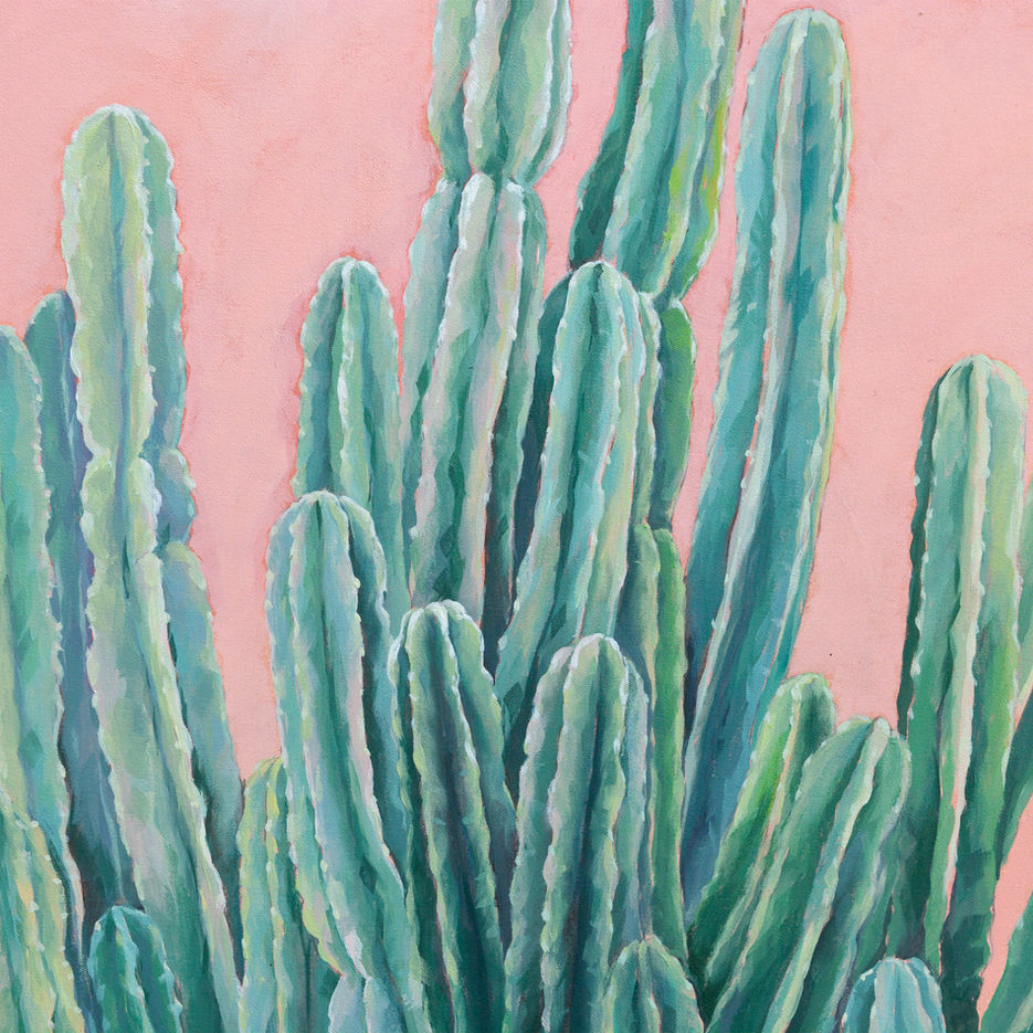 loja de quadros cactos sobre fundo rosa