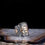 Thumbnail: Mens ring hasbiyallah 925 sterling silver