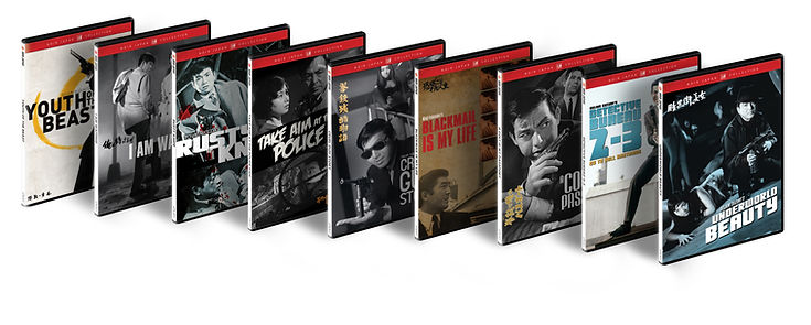 DVD_japan_noir_setMSTR.jpg