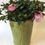 Thumbnail: folded slab planter 19x17cm