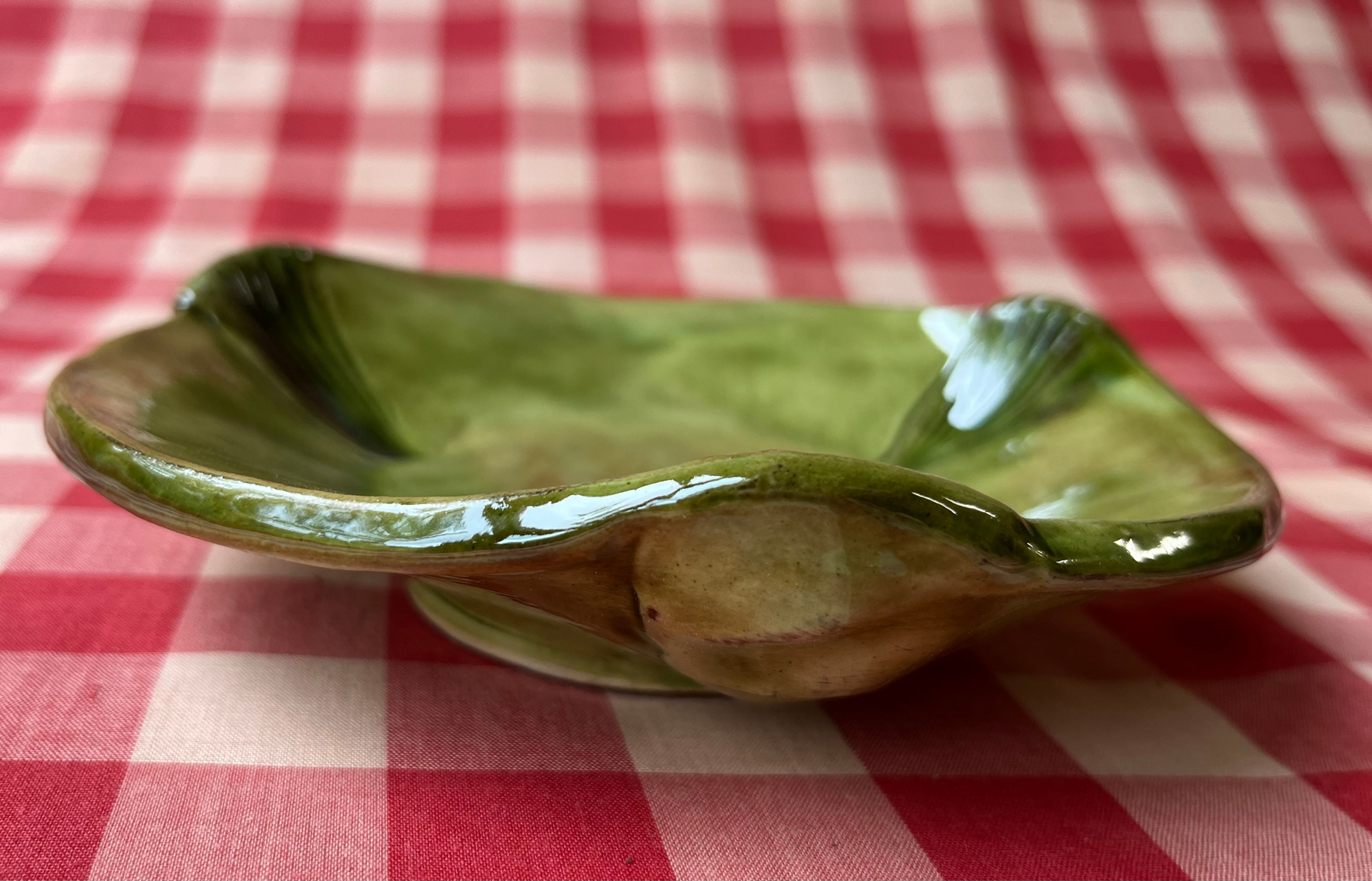 little green saucer with shell