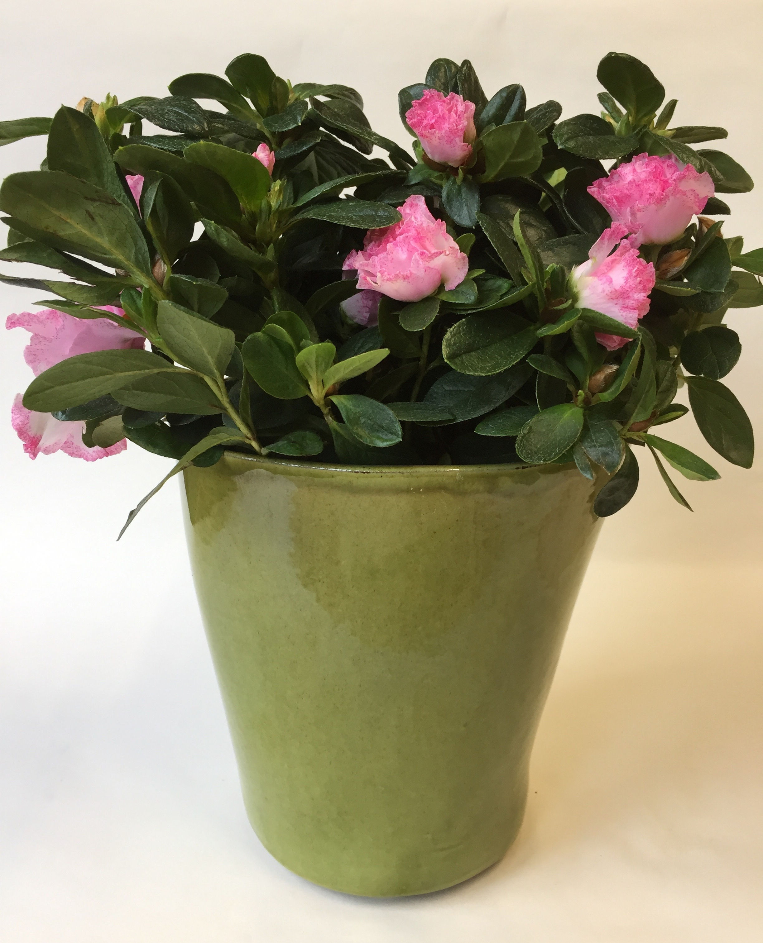 folded slab planter 19x17cm