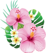 0_cc5cd_b0f8b8a2_L_edited.png