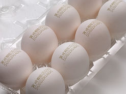 FAMJET Dynamic ID eggs marking .jpeg
