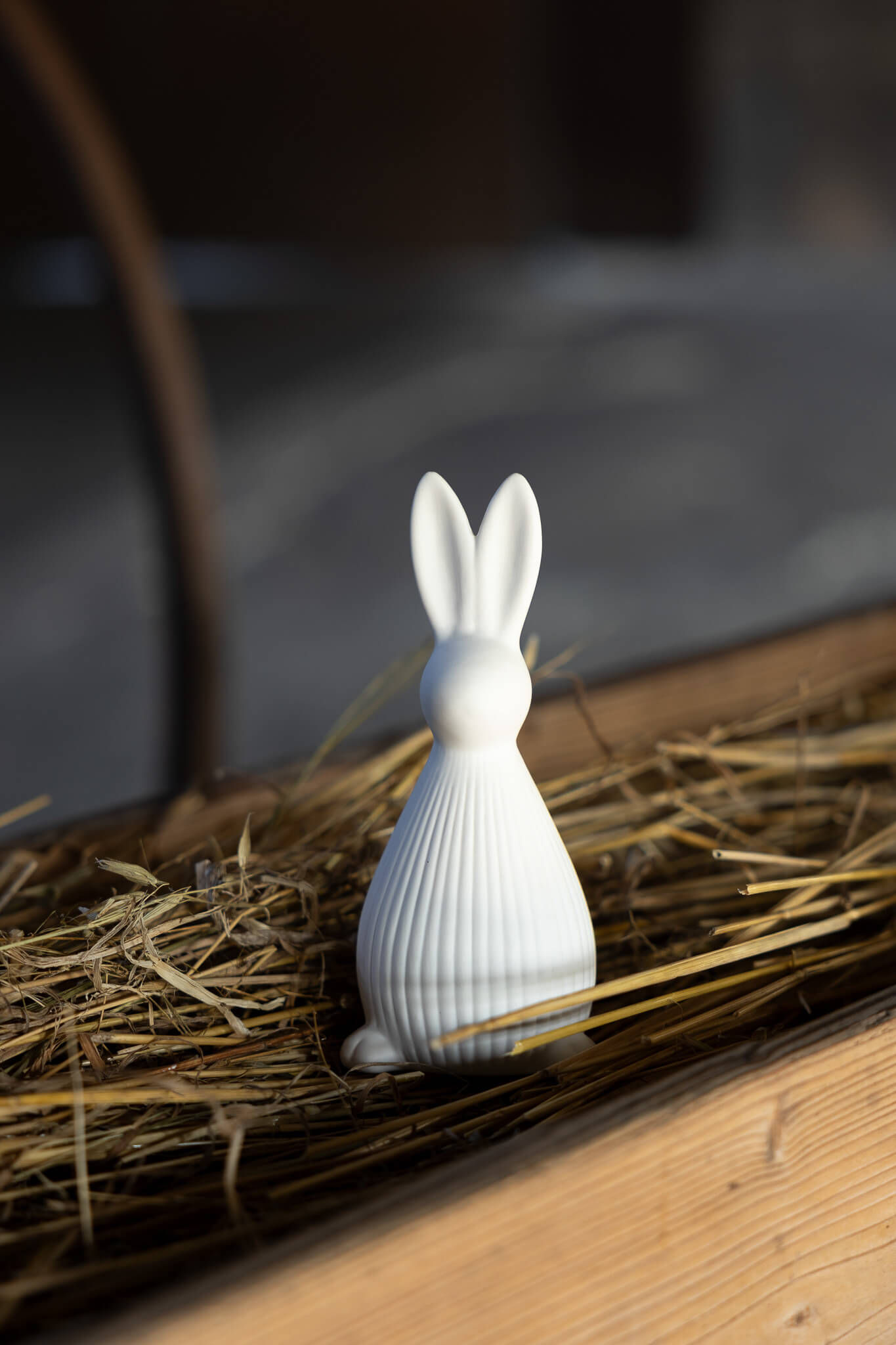 Vit hare med öronen rakt upp