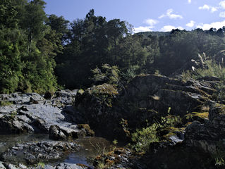 Pelorus Bridge
