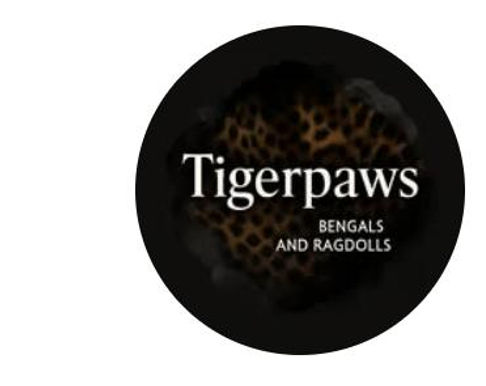 TigerPaws.jpg