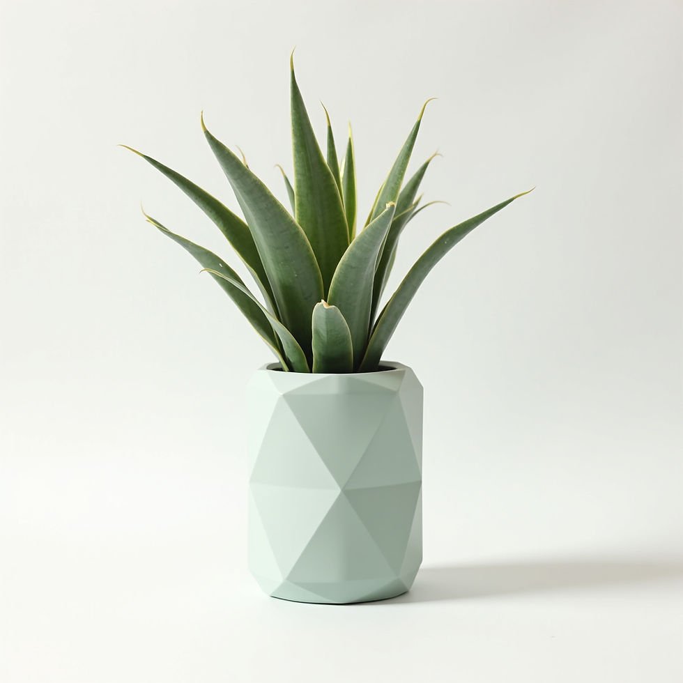 Modern Plant Stake