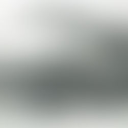 The American Colonization Society, A Society African Americans Did Not Support