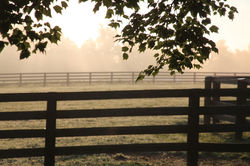 GetAttachmentThumbnail-1