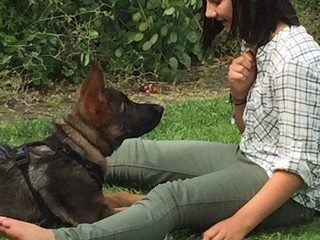 SOCIAL ISOLATION: IT'S RAINING KIDS AND DOGS