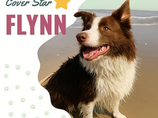 FULL-OF-FIZZ FLYNN!