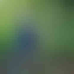 Woman outdoors in lush green setting, wearing a blue and white crocheted hood with floral patterns