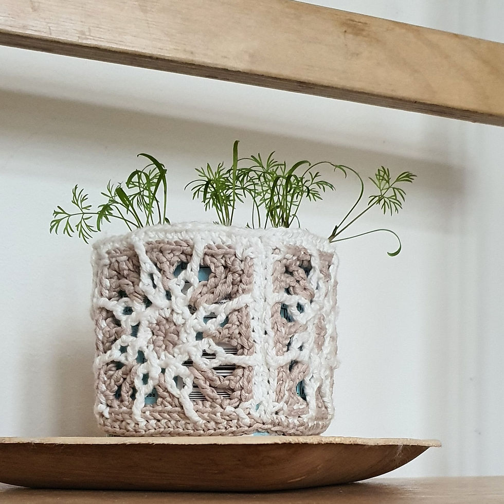 a carton base covered with lace granny squares and used as a planter for parsley seedlings