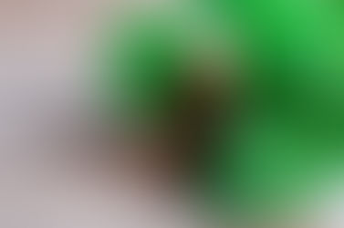 The Perfect Blend: Natural & Pure Essential Oils and Nutrition