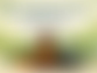 Rosemary Essential oil