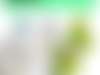 Top 10 Natural & Pure Carrier Oils for Skincare and Haircare