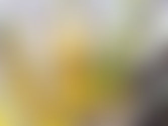 Preserving Potency: A Guide to Properly Storing Carrier Oils