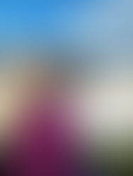 Propósito de viaje -Rosana Travels & Wellness