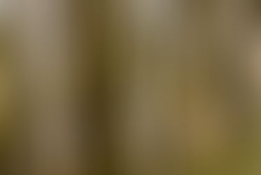 Reviewing This Is Essential to CYA