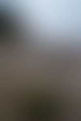 Diving Deeper into IDR Plans