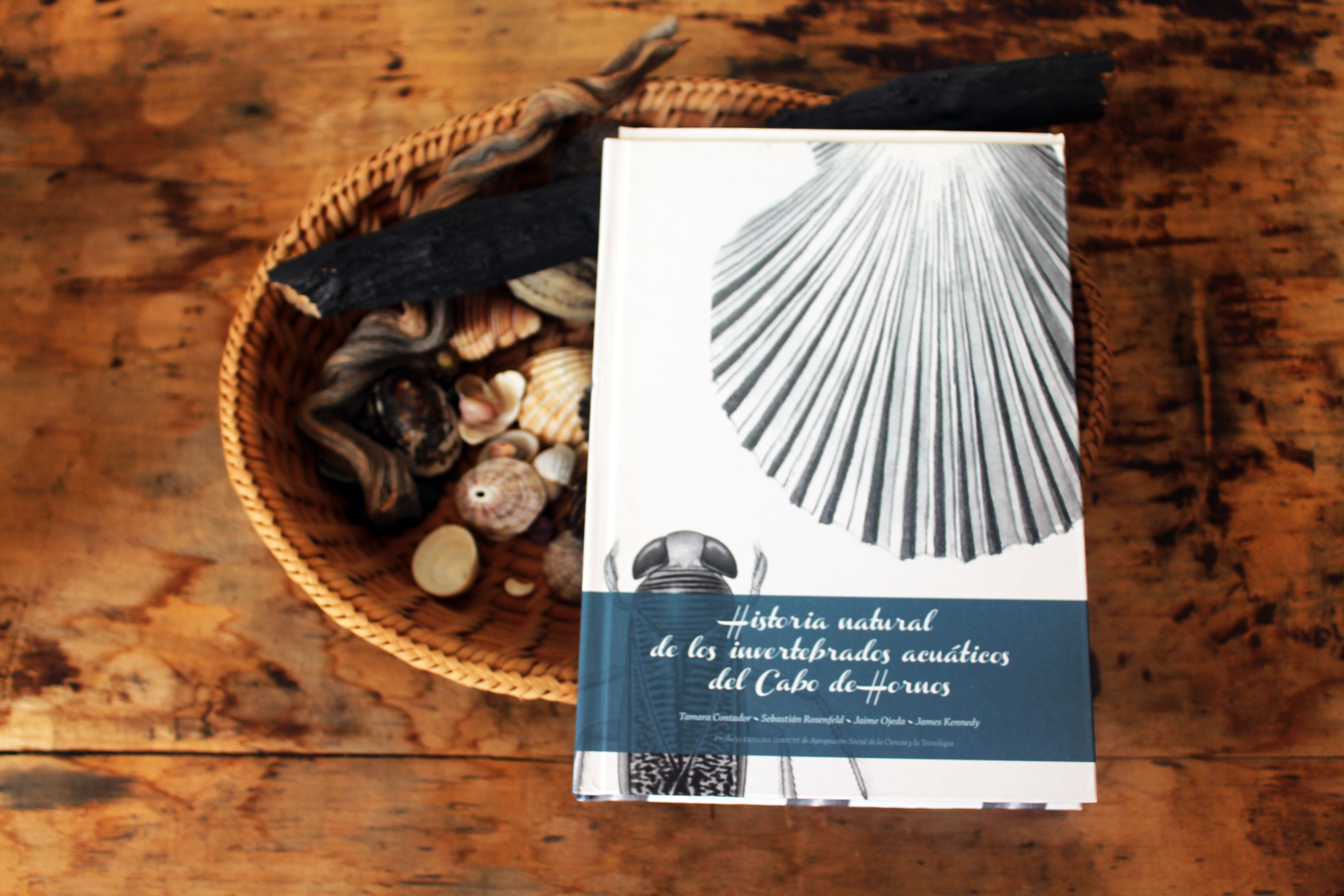 Edi Invertebrados Acuaticos Silvialazzarino