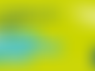 LLLP Feasibility Study on National Lifelong Learning Platforms