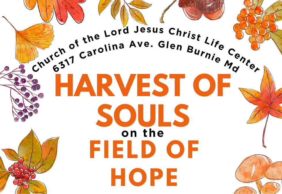 Harvest of Souls on the Field of Hope