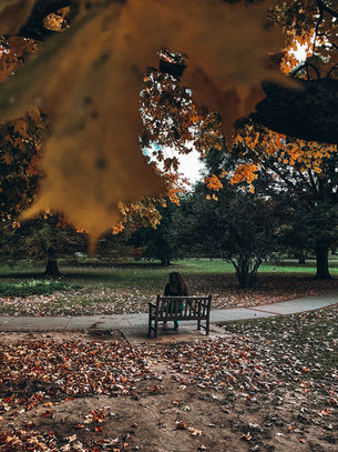 Reflections: On Gratitude 