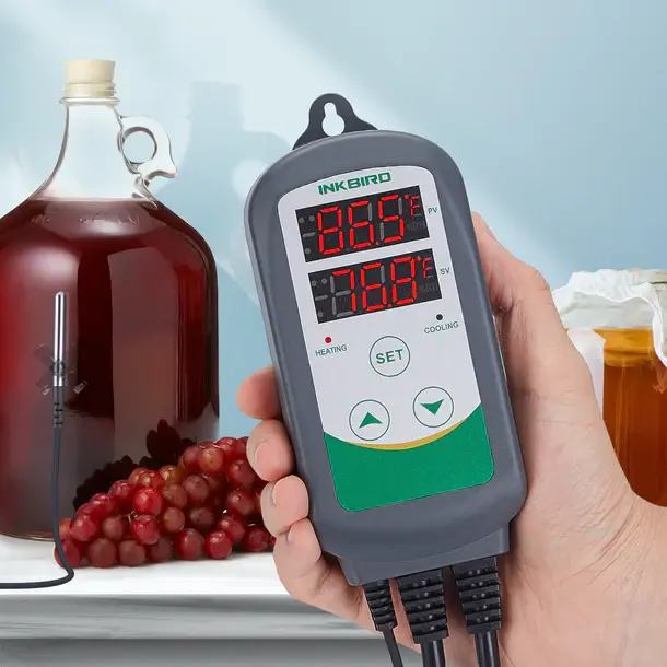 Miniatyrbilde: Digital temperatur kontroller med probe