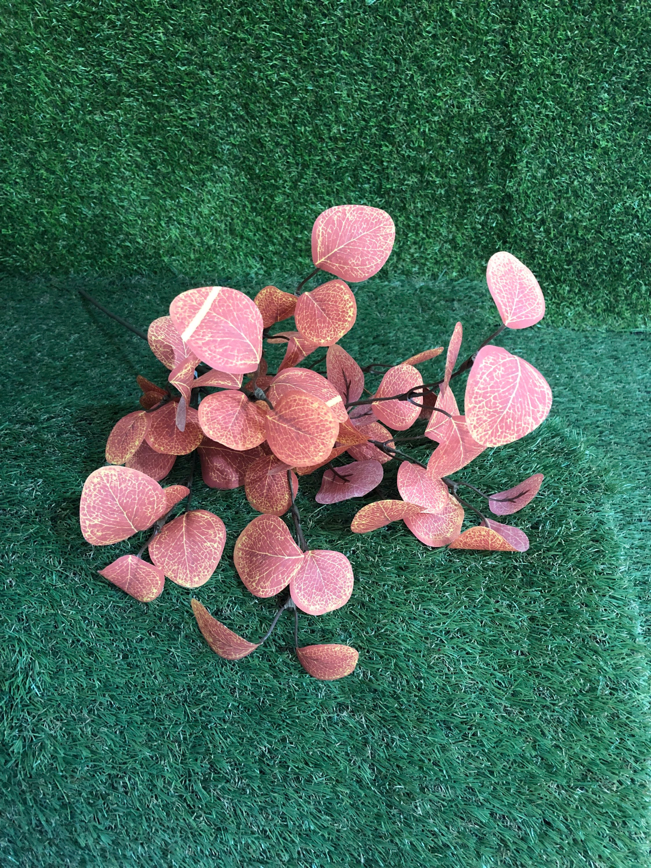 Eucalyptus Spray 70Cm Orange / Red