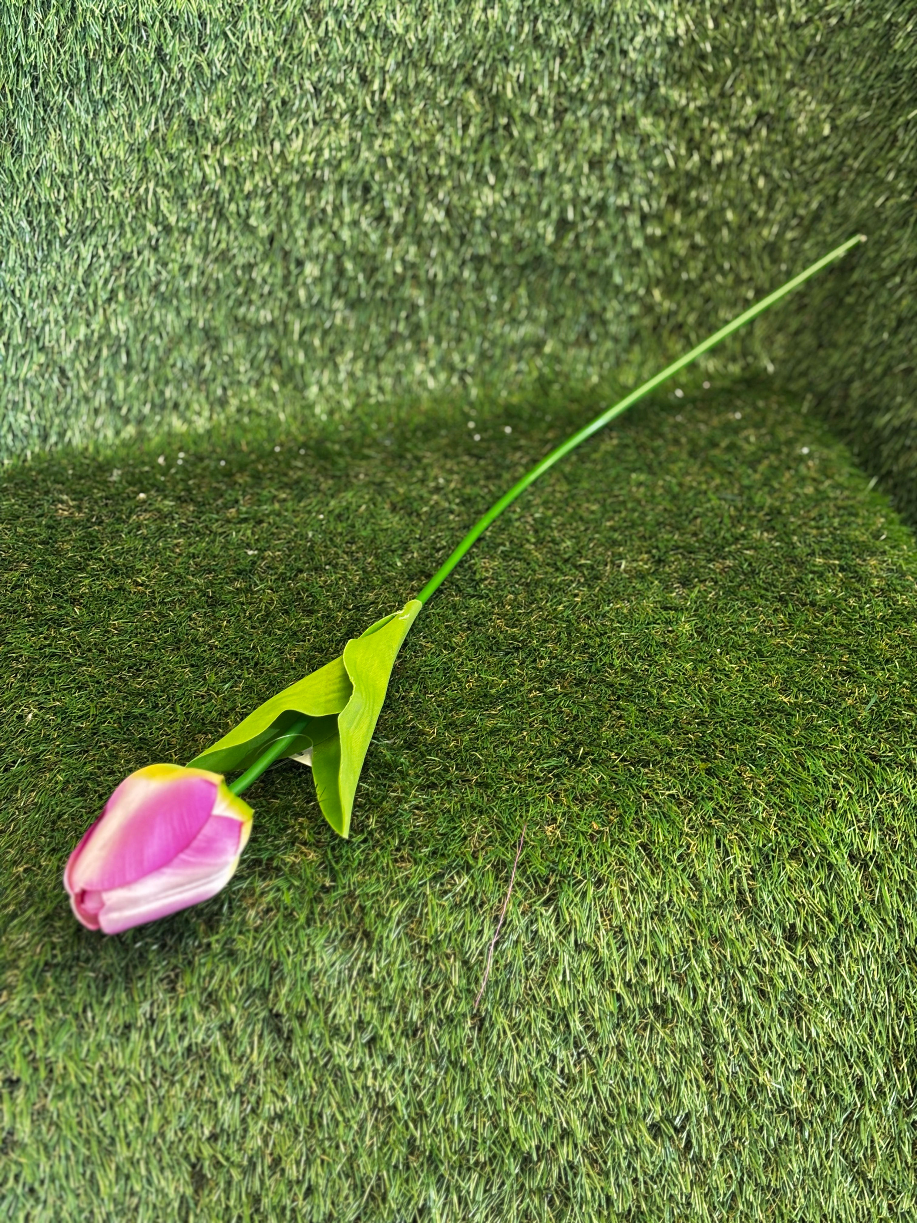 Tulip Stem Lilac/ Cream/ Green