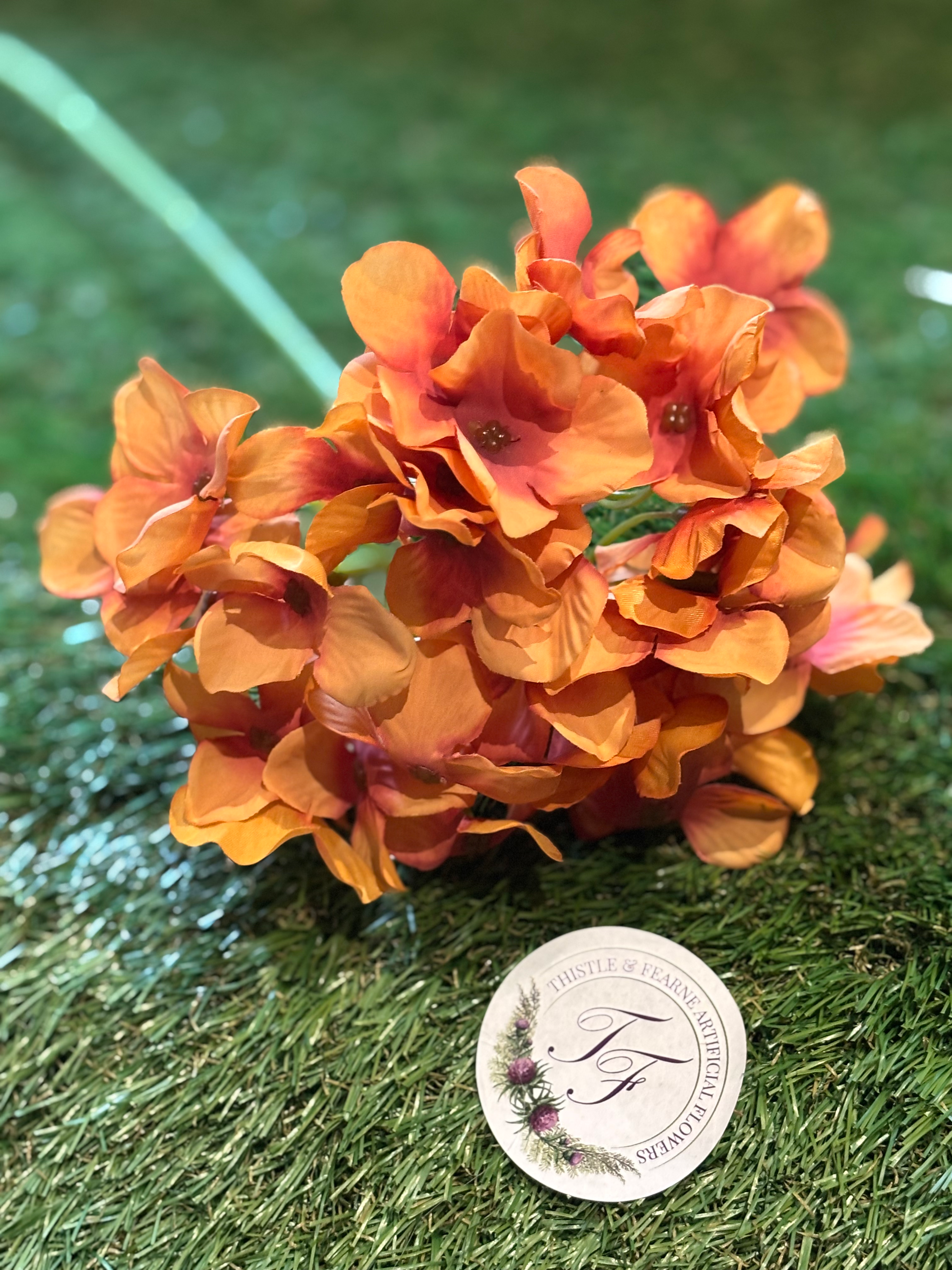 Hydrangea (Thin Stem) Burnt Orange