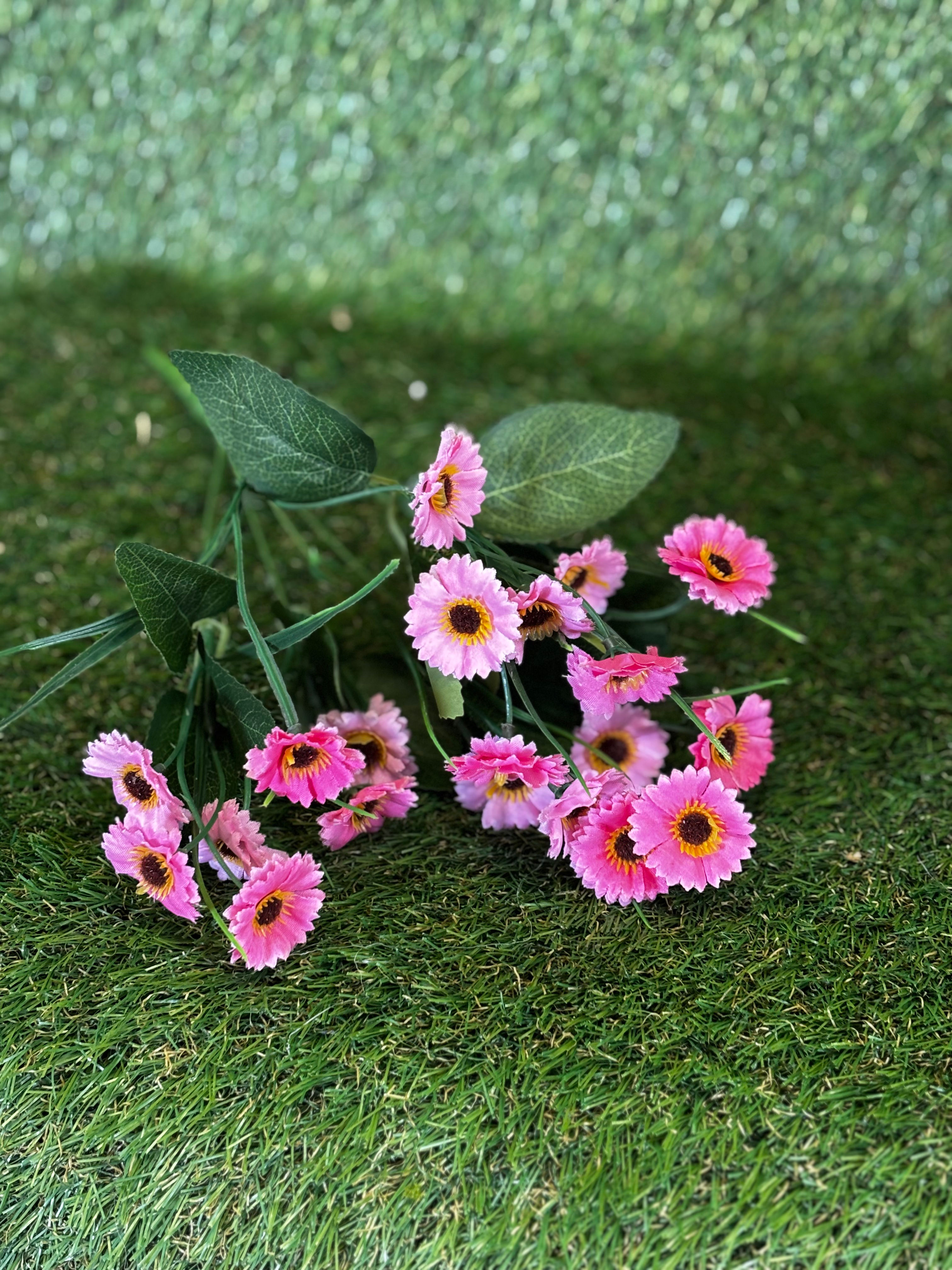 Mini Daisy with Grass Pink