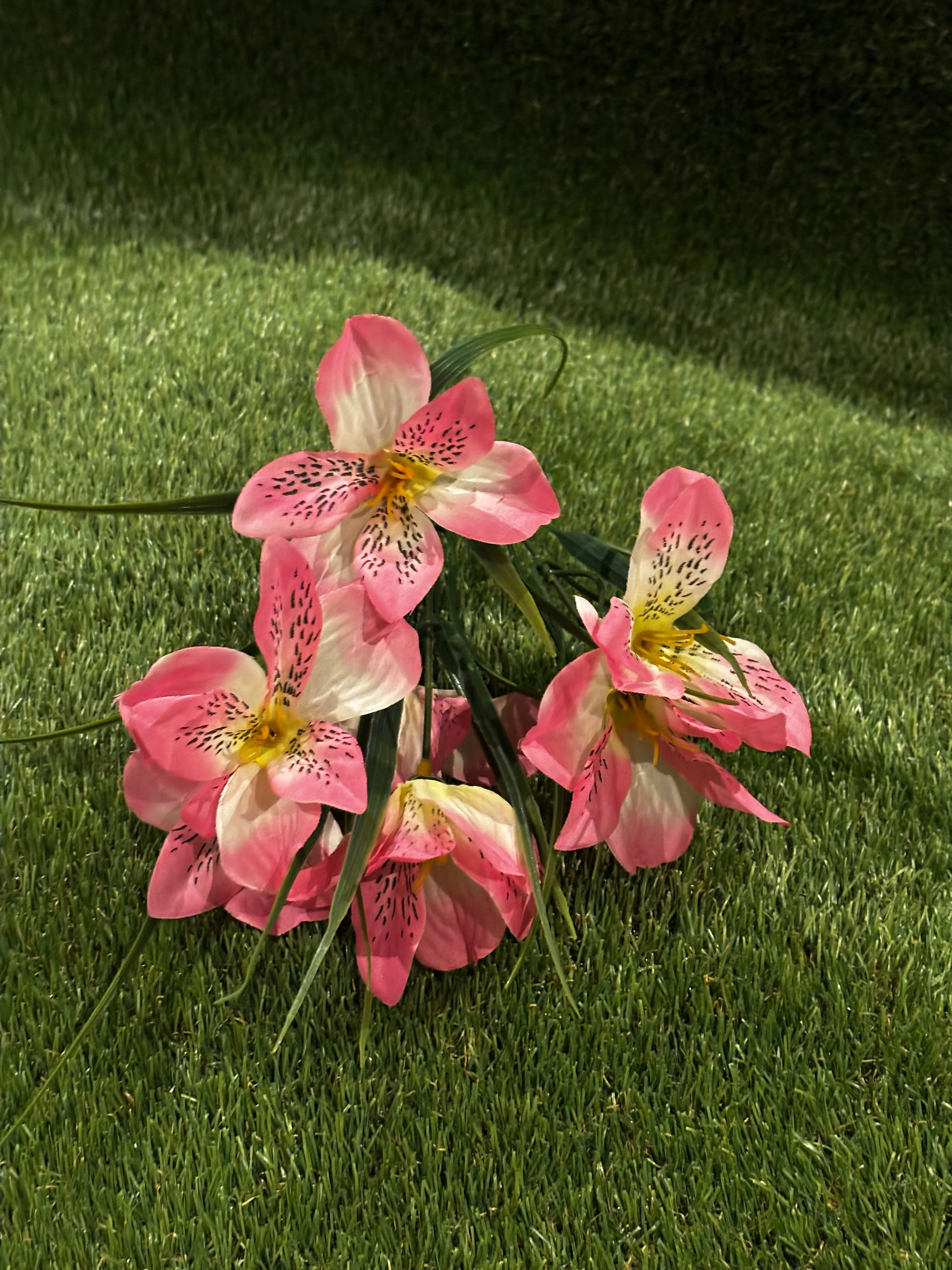 Alstromeria Bush Pink