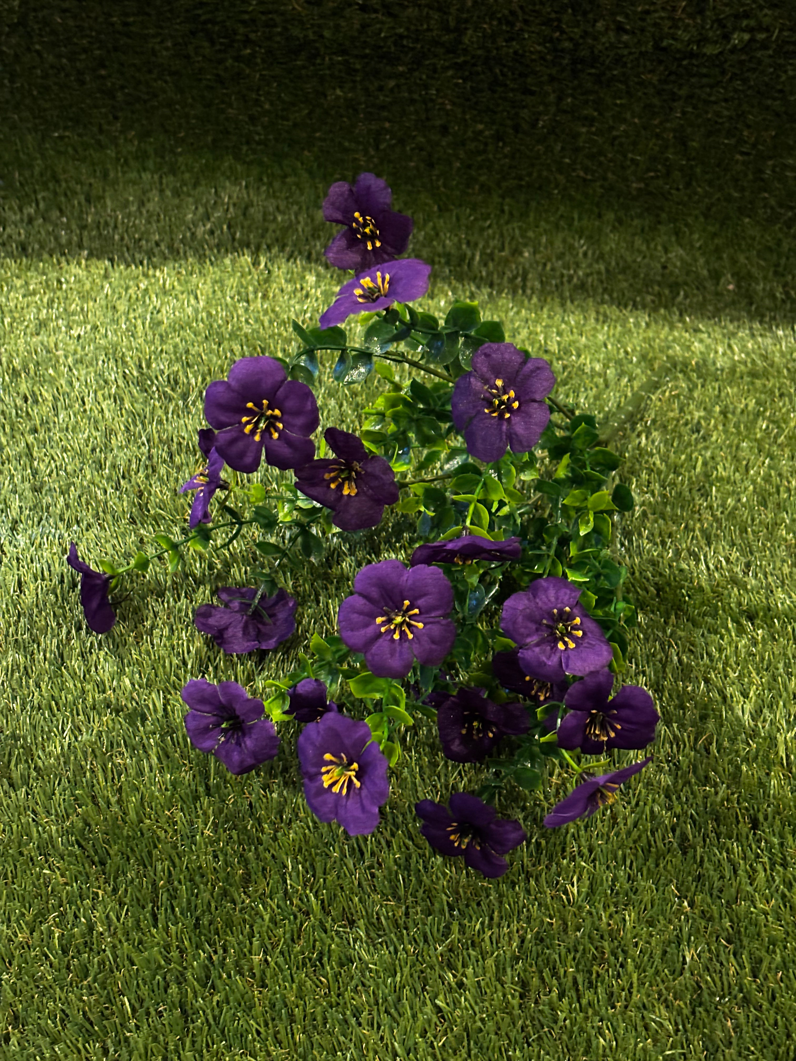 Violet Bunch Purple