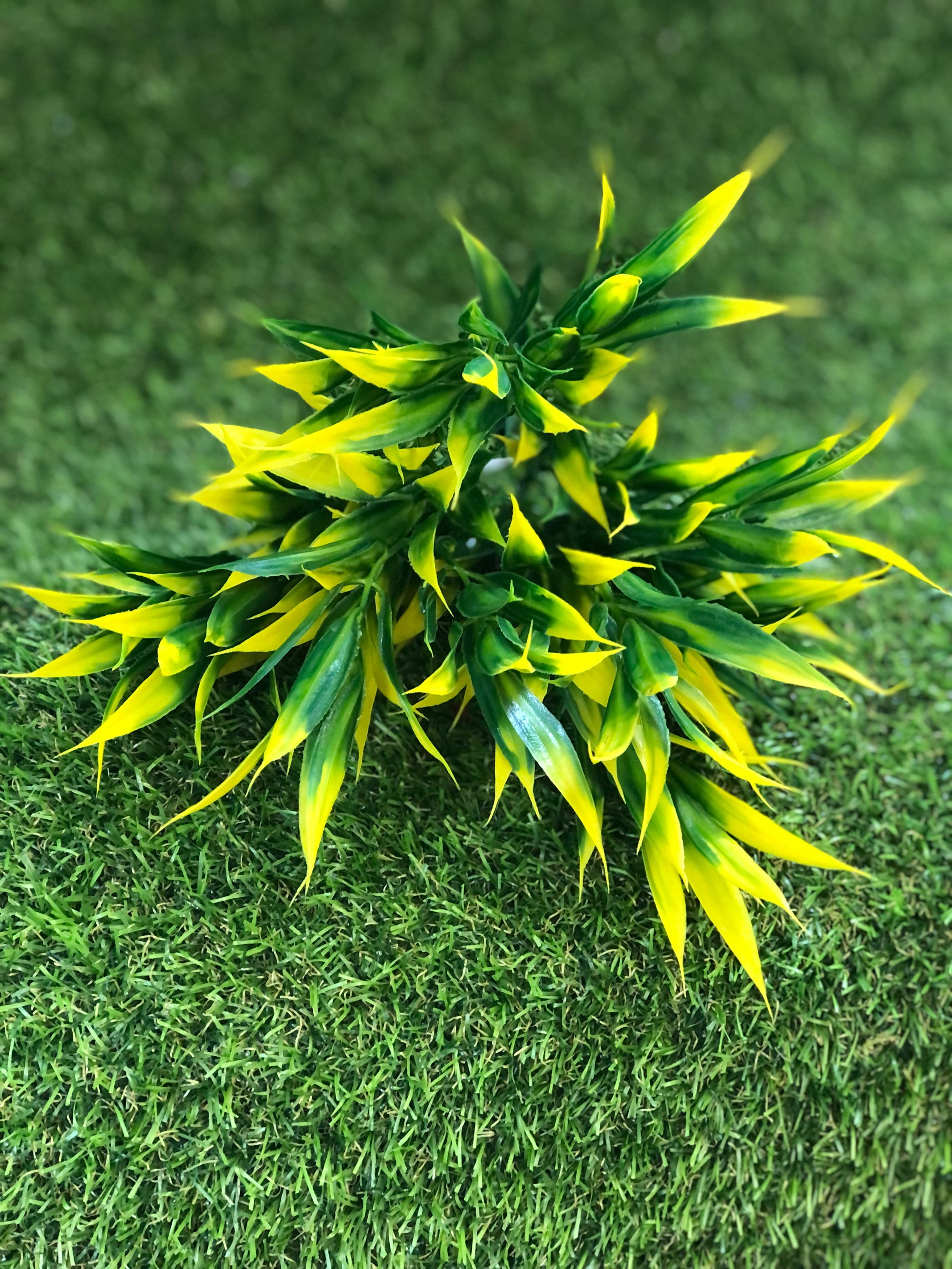 Grass Bush Yellow and Green