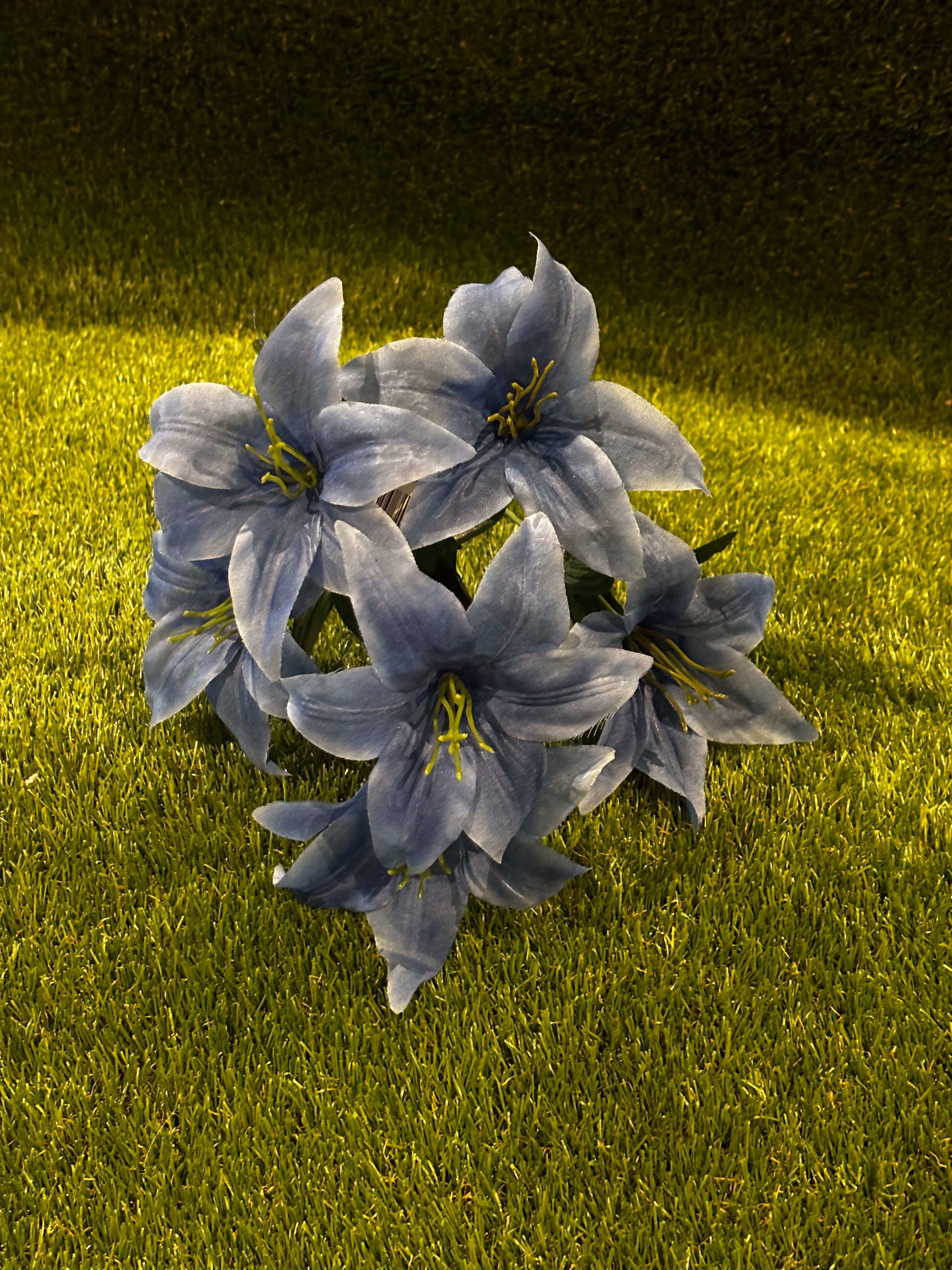 Lily Bush Blue