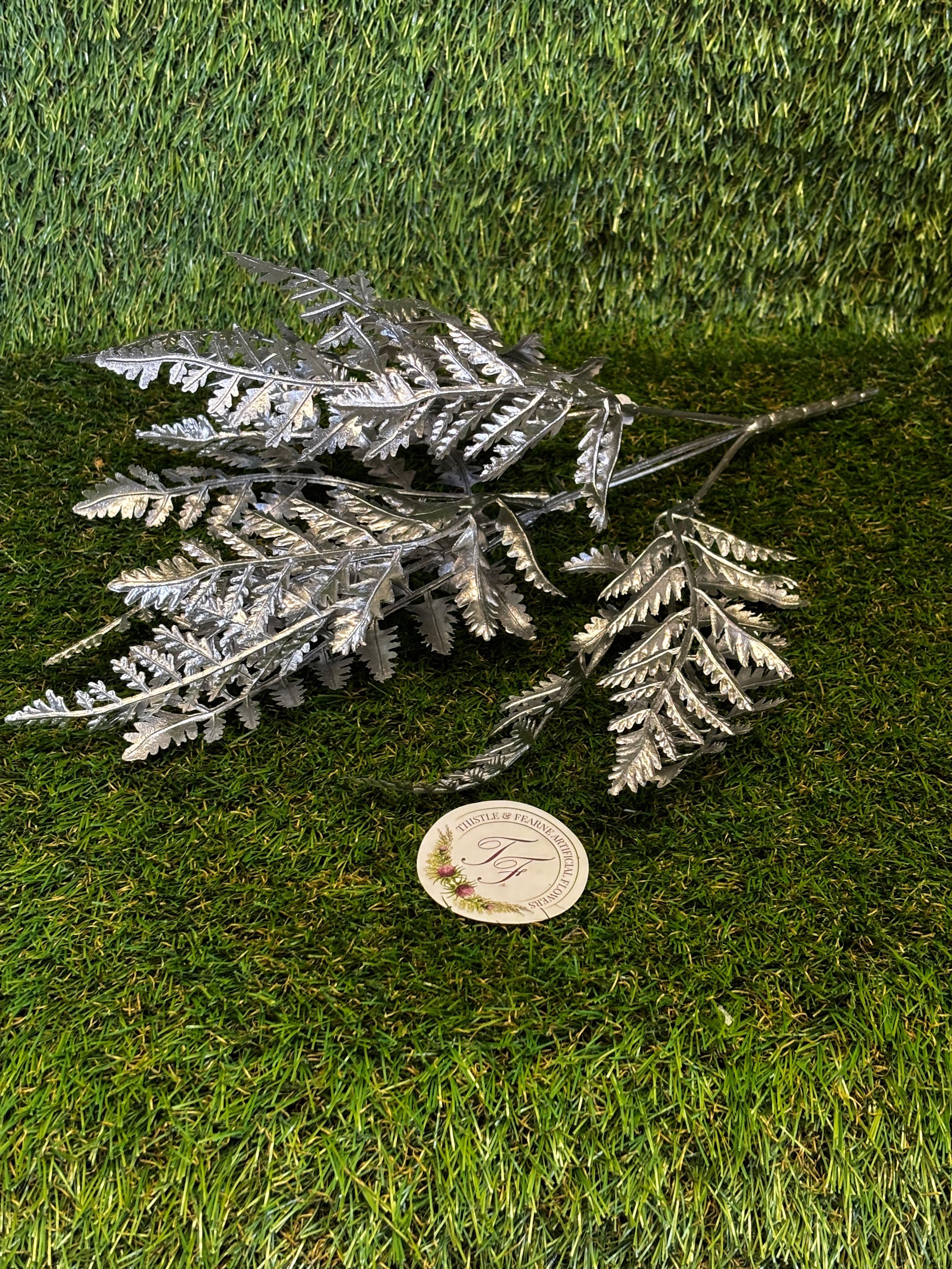 Fern Bush Silver