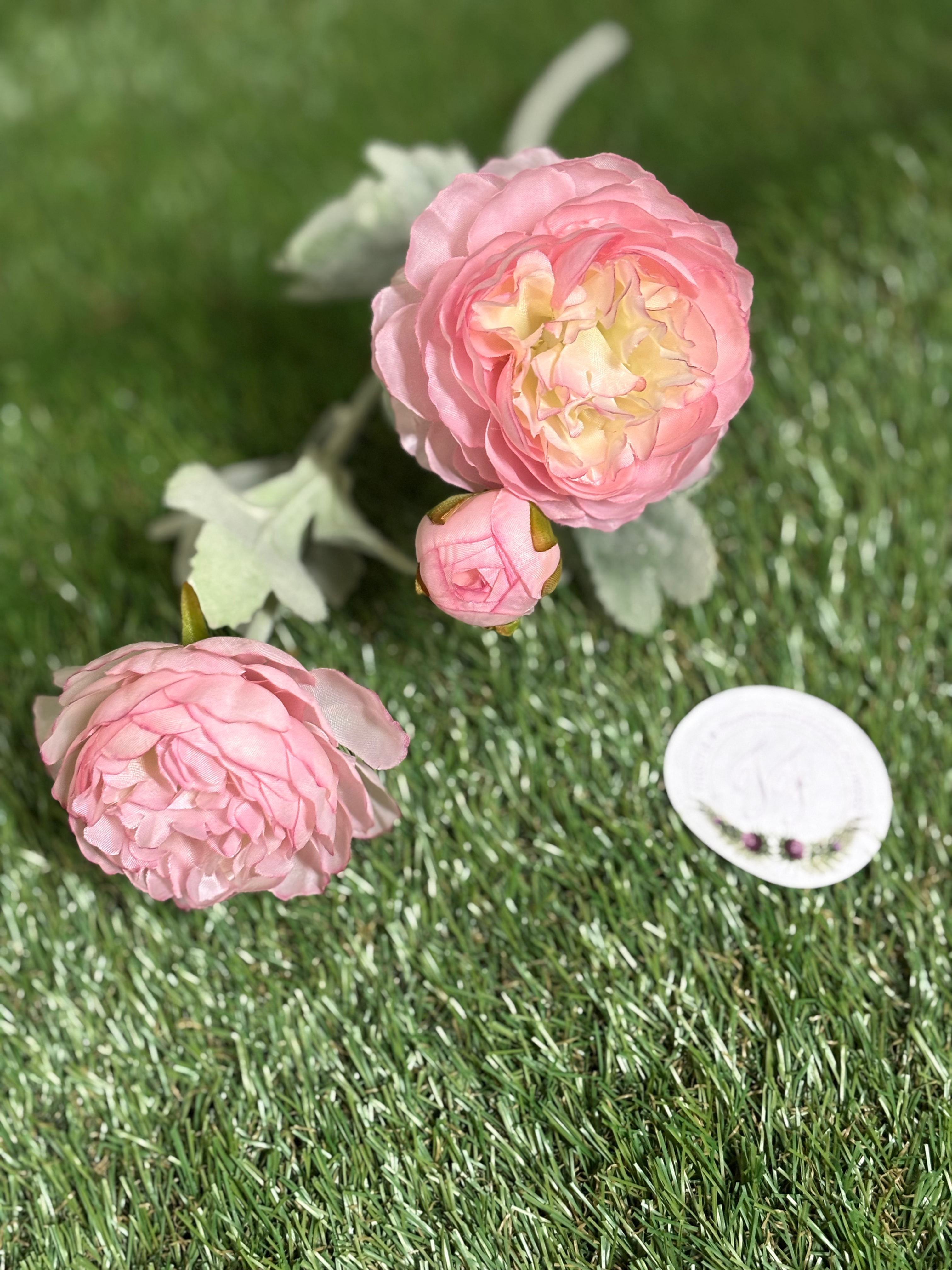 Deluxe Ranunculus Spray Pale Pink