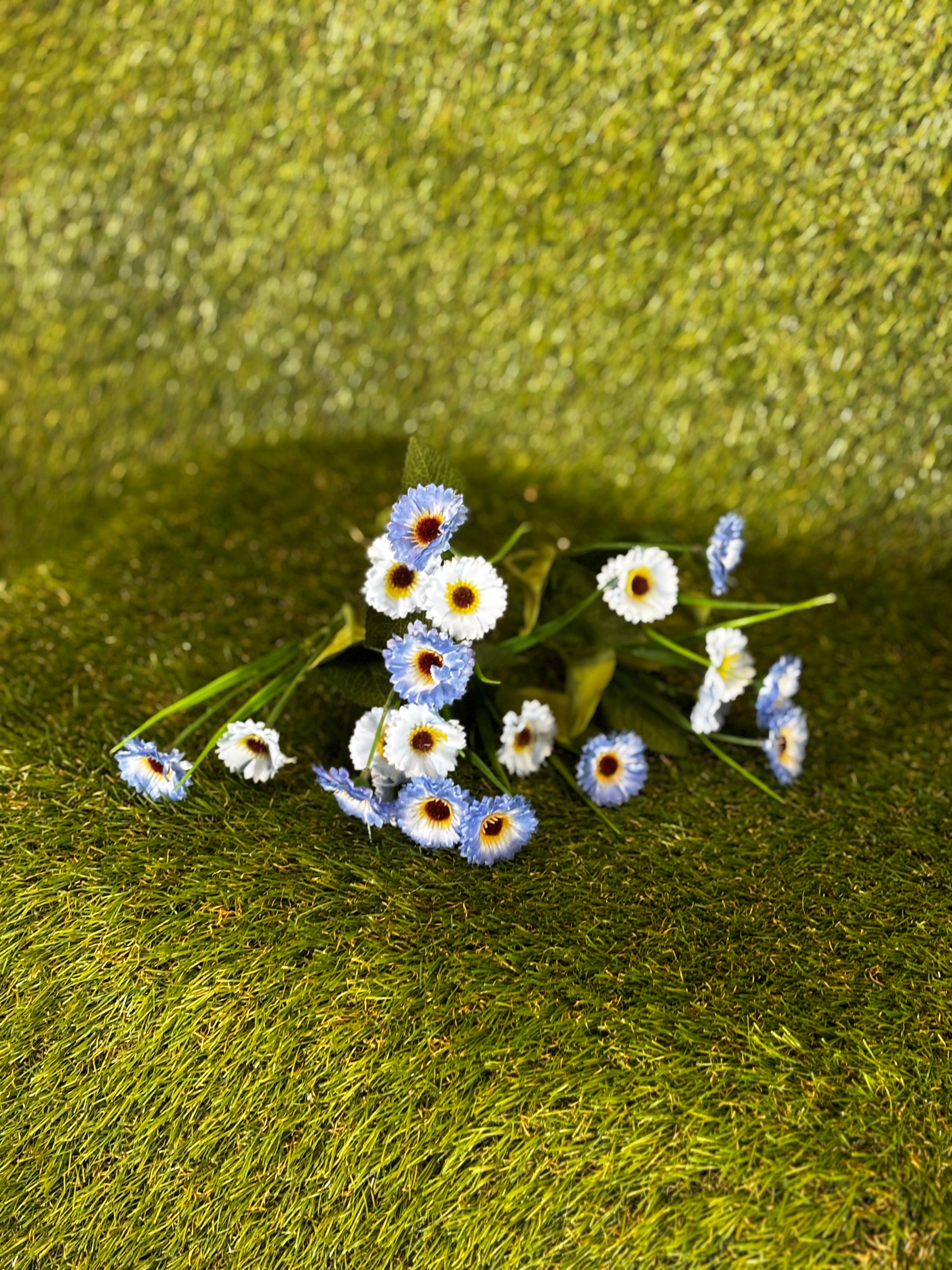 Mini Daisy with Grass Blue