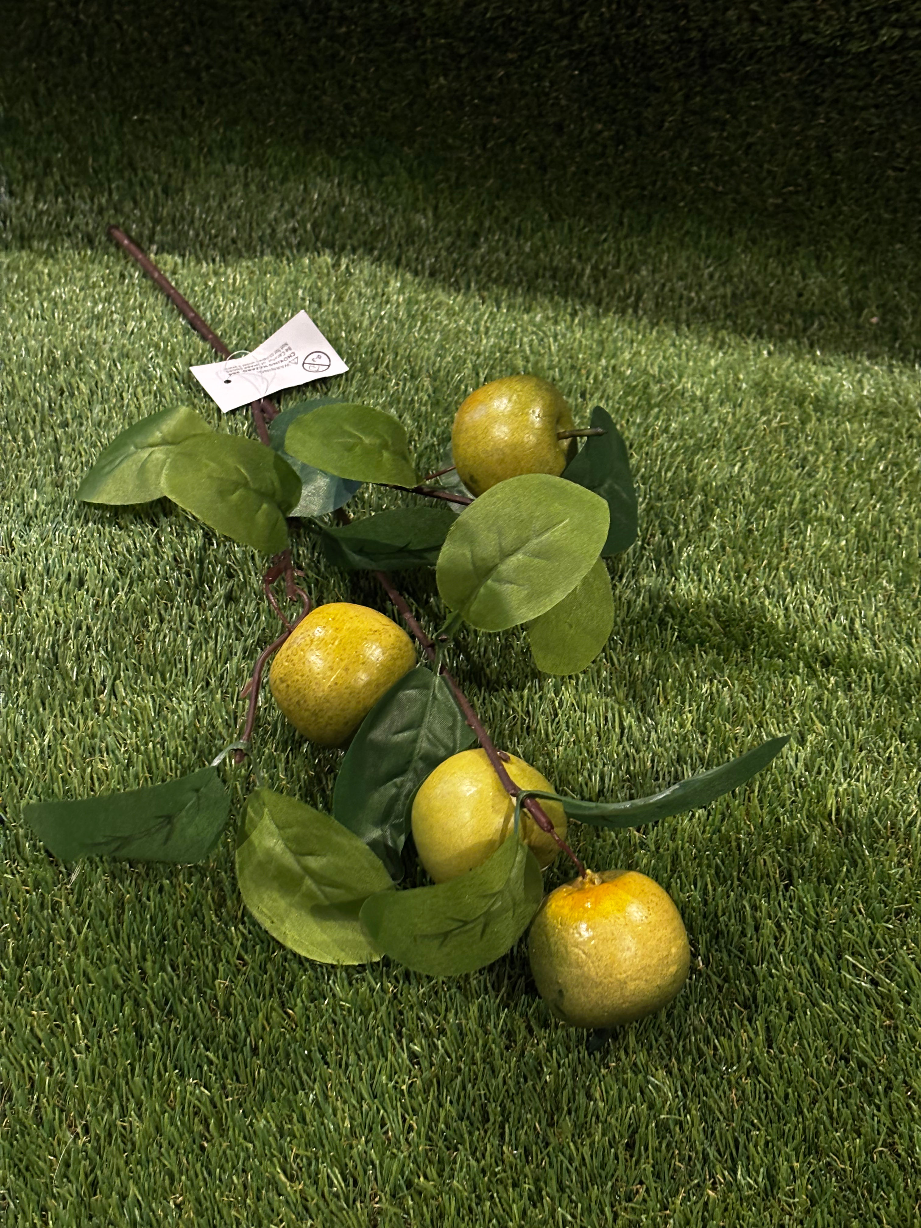 Fruit Bunch Green Apple