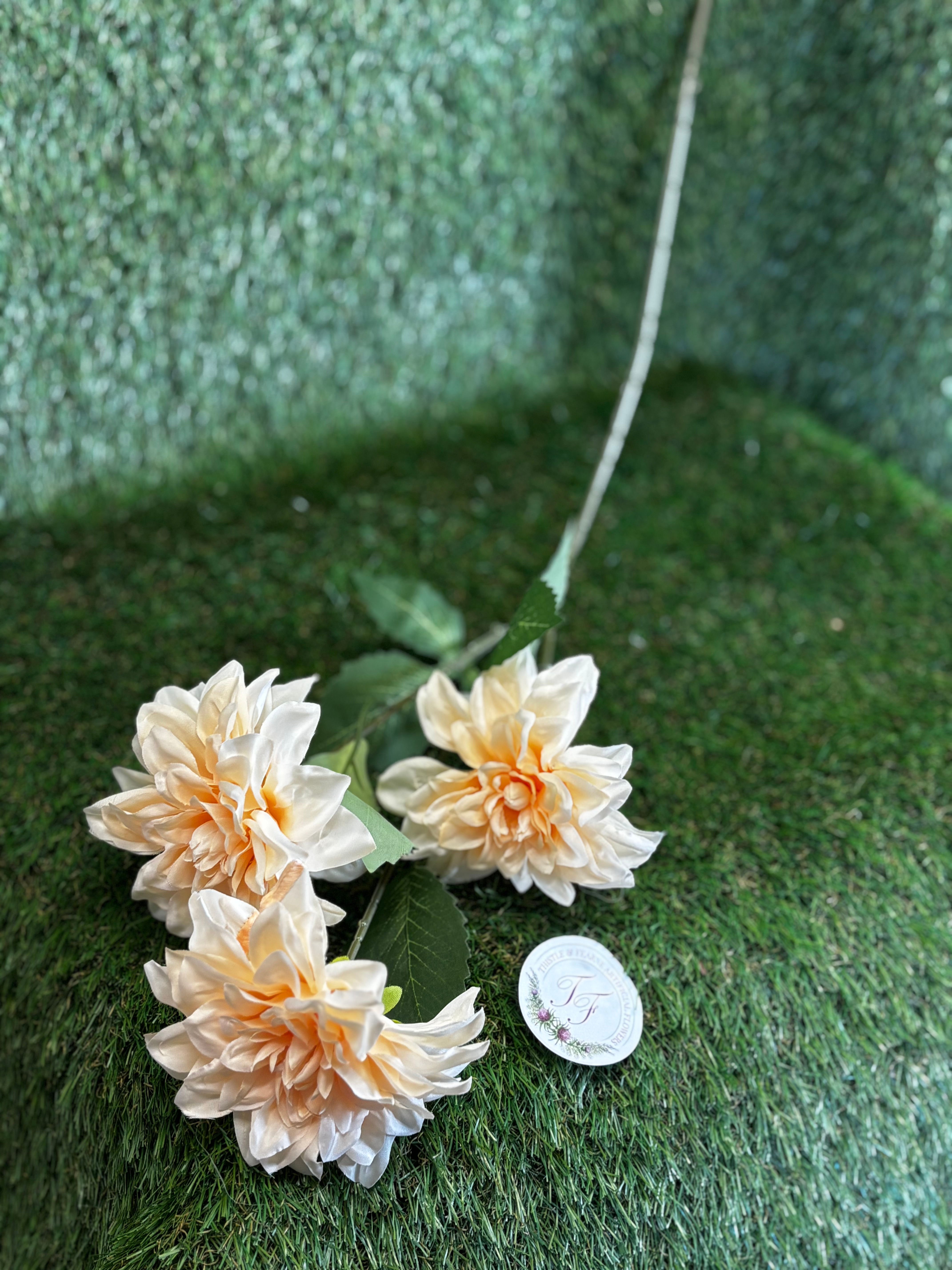 Dahlia Spray  3 Heads Butter Peach