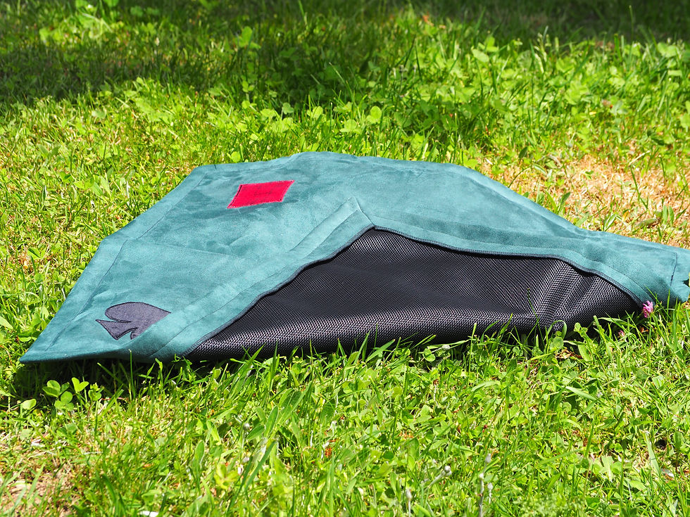 Miniature : Tapis Jeux
