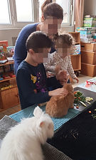 IMG_20230128_123642.jpg