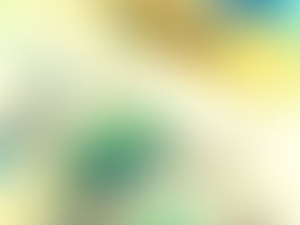 Strategic Budgeting for Design, Permits, Construction, and Closeout Costs