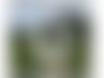 Latinxhikers Durham Pop-up Hike